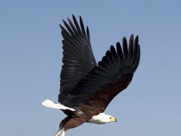 photo_2025-12-18_14-39-23