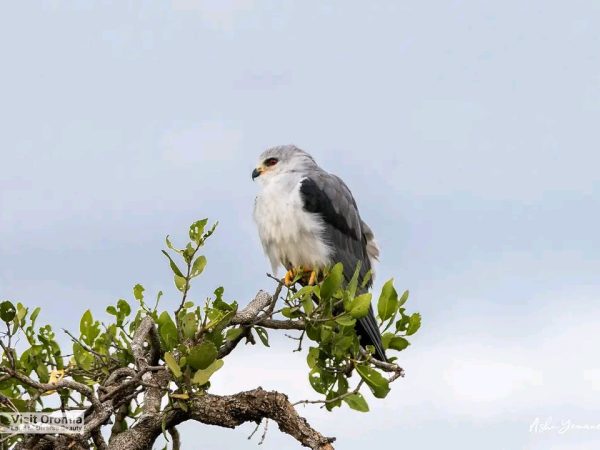 photo_2025-12-18_14-39-27