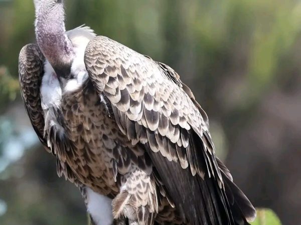 photo_2025-12-18_14-39-31