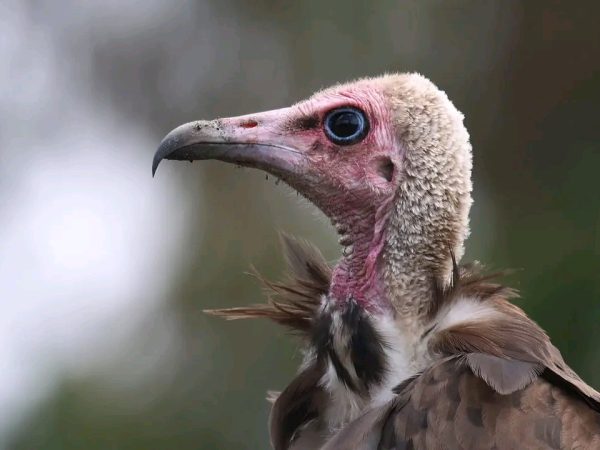 photo_2025-12-18_14-39-33