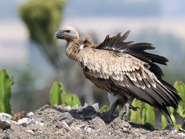 photo_2025-12-18_14-39-35