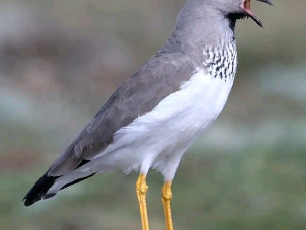 photo_2025-12-18_14-39-37