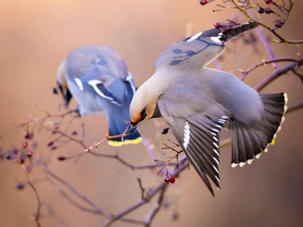 photo_2025-12-18_14-39-44