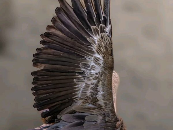 photo_2025-12-18_14-39-48