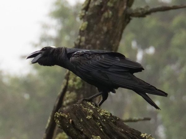 photo_2025-12-18_14-39-50