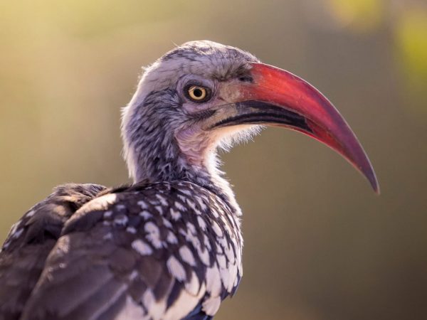 photo_2025-12-18_14-39-55