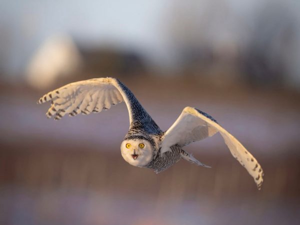 photo_2025-12-18_14-39-59