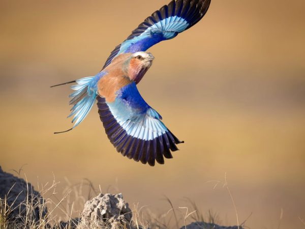 photo_2025-12-18_14-40-01